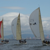 DSC04546.JPG
